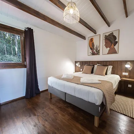 Adega Da Quinta - Casa Da Ioio