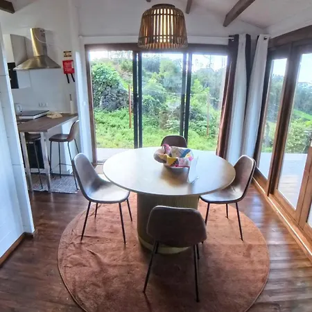 Adega Da Quinta - Casa Da Ioio Madalena (Azores)